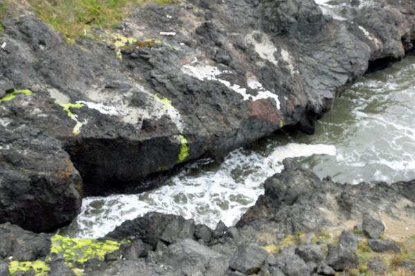 inlet from the Pacific Ocean